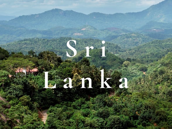 Active - Sri lanka - Revitalise-1
