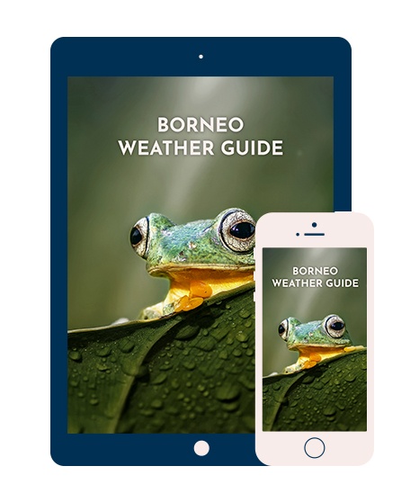 Borneo Weather Guide.jpg Borneo Weather Guide.jpg