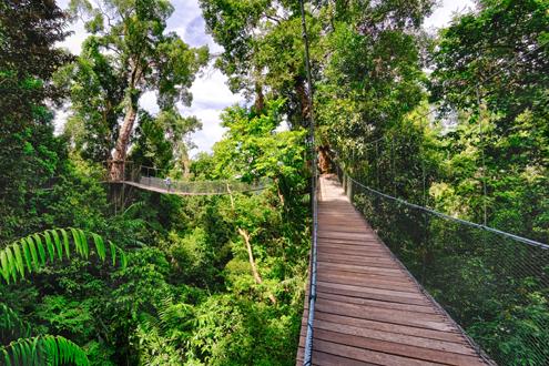 Borneo holiday.jpg