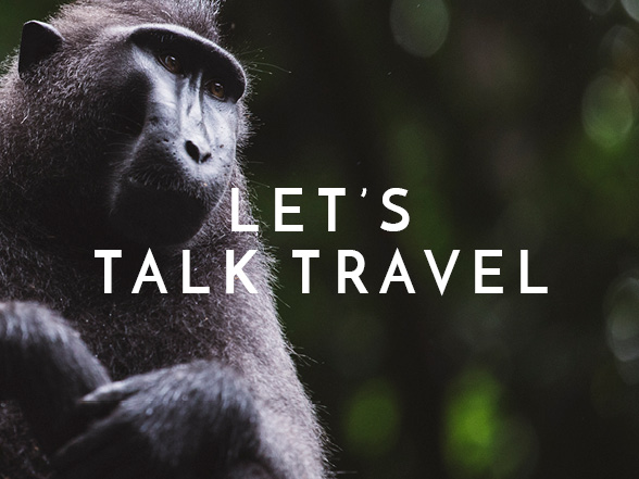 let's talk travel 