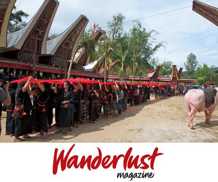 Wanderlust sulawesi.jpg Wanderlust sulawesi.jpg