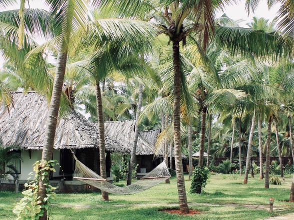 The villas at Neeleshwar Hermitage amongst palm trees with a hammock in the foreground