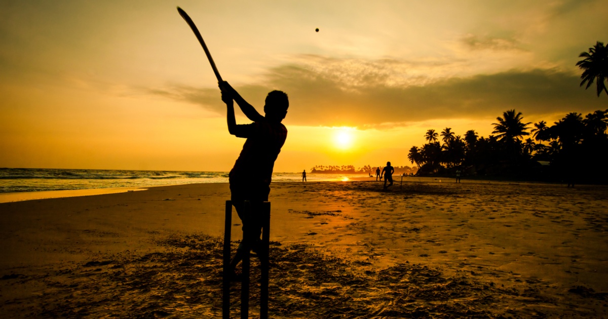 playing cricket.jpg playing cricket.jpg